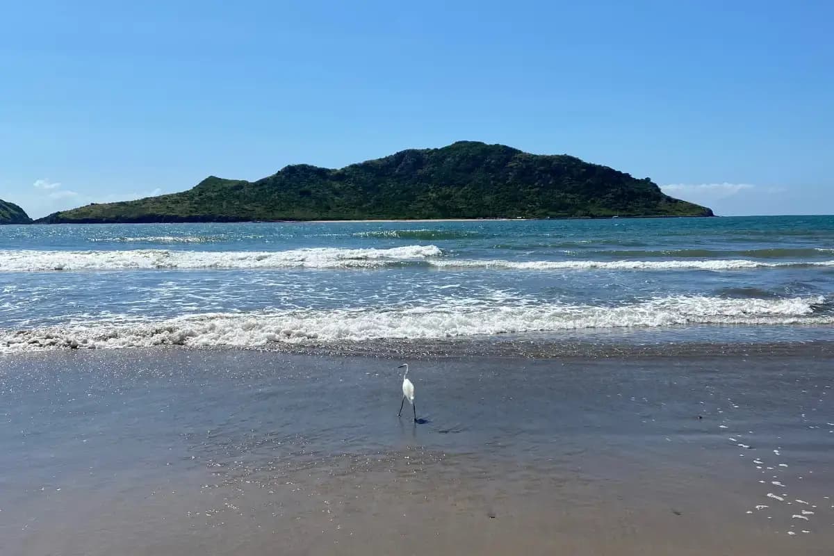 Disfrutar las playas
