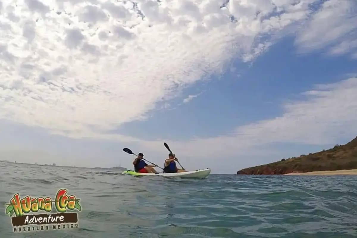 Kayak Island Tour