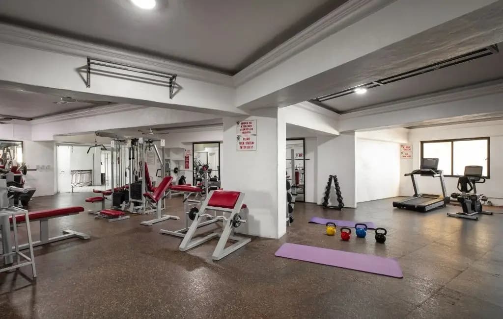 Gimnasio
