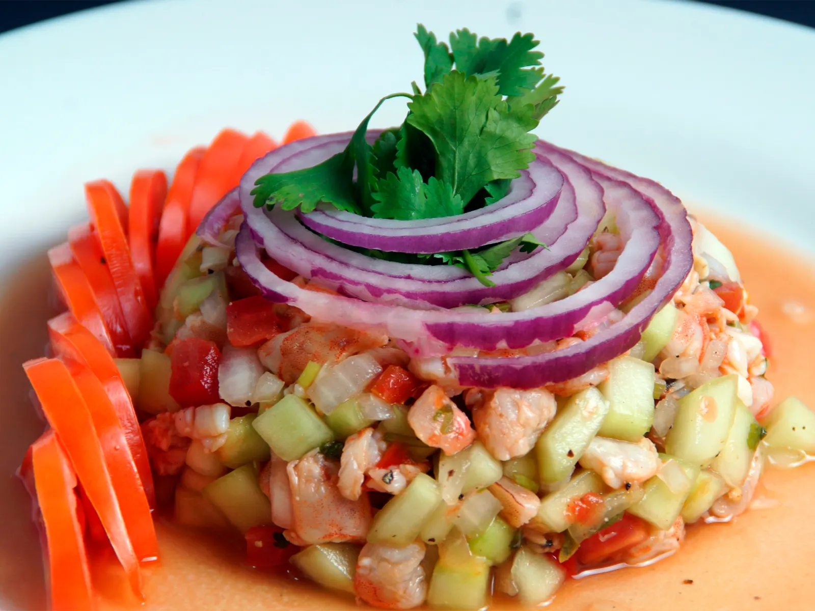Platillo del Snack de Alberca